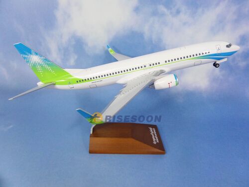 Saudi Aramco / B737-800 / 1:130