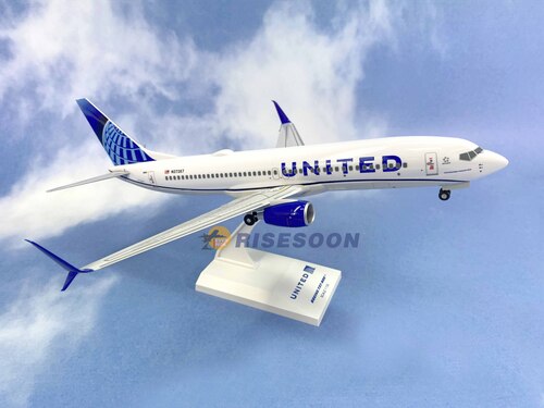 聯合航空 United Airlines / B737-800 1/130